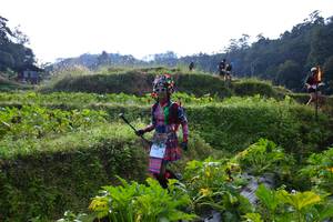 BIB: 
                            <button type="button" onclick="openModal(16060137)" class="btn btn-primary btn-sm float-right btn-popup" data-toggle="modal" data-target=".modal-high-quality">
                        <i class="fas fa-shopping-cart"></i> Add to Cart
                    </button>
                                            <button type="button" onclick="isThisMe(16060137, true)" class="btn btn-success btn-sm float-right btn-popup btn-isme hidden" data-toggle="tooltip" data-placement="bottom" title="นี่คือรูปของคุณใช่ไหม คลิกที่นี่เพื่อเอาเข้าอัลบั้ม">
                        <i class="fas fa-plus"></i> Add to album
                    </button>
                    <button type="button" onclick="isThisMe(16060137, false)" class="btn btn-warning btn-sm float-right btn-popup btn-isnotme hidden">
                        <i class="fas fa-ban"></i> Remove from album
                    </button>