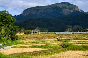 BIB: 
                            <button type="button" onclick="openModal(16060036)" class="btn btn-primary btn-sm float-right btn-popup" data-toggle="modal" data-target=".modal-high-quality">
                        <i class="fas fa-shopping-cart"></i> Add to Cart
                    </button>
                                            <button type="button" onclick="isThisMe(16060036, true)" class="btn btn-success btn-sm float-right btn-popup btn-isme hidden" data-toggle="tooltip" data-placement="bottom" title="นี่คือรูปของคุณใช่ไหม คลิกที่นี่เพื่อเอาเข้าอัลบั้ม">
                        <i class="fas fa-plus"></i> Add to album
                    </button>
                    <button type="button" onclick="isThisMe(16060036, false)" class="btn btn-warning btn-sm float-right btn-popup btn-isnotme hidden">
                        <i class="fas fa-ban"></i> Remove from album
                    </button>