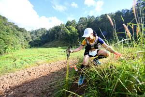 BIB: 
                            <button type="button" onclick="openModal(16060189)" class="btn btn-primary btn-sm float-right btn-popup" data-toggle="modal" data-target=".modal-high-quality">
                        <i class="fas fa-shopping-cart"></i> Add to Cart
                    </button>
                                            <button type="button" onclick="isThisMe(16060189, true)" class="btn btn-success btn-sm float-right btn-popup btn-isme hidden" data-toggle="tooltip" data-placement="bottom" title="นี่คือรูปของคุณใช่ไหม คลิกที่นี่เพื่อเอาเข้าอัลบั้ม">
                        <i class="fas fa-plus"></i> Add to album
                    </button>
                    <button type="button" onclick="isThisMe(16060189, false)" class="btn btn-warning btn-sm float-right btn-popup btn-isnotme hidden">
                        <i class="fas fa-ban"></i> Remove from album
                    </button>