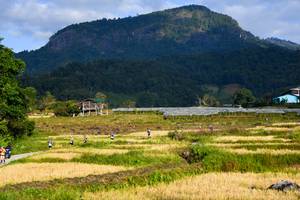 BIB: 
                            <button type="button" onclick="openModal(16060038)" class="btn btn-primary btn-sm float-right btn-popup" data-toggle="modal" data-target=".modal-high-quality">
                        <i class="fas fa-shopping-cart"></i> Add to Cart
                    </button>
                                            <button type="button" onclick="isThisMe(16060038, true)" class="btn btn-success btn-sm float-right btn-popup btn-isme hidden" data-toggle="tooltip" data-placement="bottom" title="นี่คือรูปของคุณใช่ไหม คลิกที่นี่เพื่อเอาเข้าอัลบั้ม">
                        <i class="fas fa-plus"></i> Add to album
                    </button>
                    <button type="button" onclick="isThisMe(16060038, false)" class="btn btn-warning btn-sm float-right btn-popup btn-isnotme hidden">
                        <i class="fas fa-ban"></i> Remove from album
                    </button>