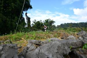 BIB: 
                            <button type="button" onclick="openModal(16060123)" class="btn btn-primary btn-sm float-right btn-popup" data-toggle="modal" data-target=".modal-high-quality">
                        <i class="fas fa-shopping-cart"></i> Add to Cart
                    </button>
                                            <button type="button" onclick="isThisMe(16060123, true)" class="btn btn-success btn-sm float-right btn-popup btn-isme hidden" data-toggle="tooltip" data-placement="bottom" title="นี่คือรูปของคุณใช่ไหม คลิกที่นี่เพื่อเอาเข้าอัลบั้ม">
                        <i class="fas fa-plus"></i> Add to album
                    </button>
                    <button type="button" onclick="isThisMe(16060123, false)" class="btn btn-warning btn-sm float-right btn-popup btn-isnotme hidden">
                        <i class="fas fa-ban"></i> Remove from album
                    </button>