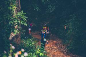 BIB: 
                            <button type="button" onclick="openModal(16059904)" class="btn btn-primary btn-sm float-right btn-popup" data-toggle="modal" data-target=".modal-high-quality">
                        <i class="fas fa-shopping-cart"></i> Add to Cart
                    </button>
                                            <button type="button" onclick="isThisMe(16059904, true)" class="btn btn-success btn-sm float-right btn-popup btn-isme hidden" data-toggle="tooltip" data-placement="bottom" title="นี่คือรูปของคุณใช่ไหม คลิกที่นี่เพื่อเอาเข้าอัลบั้ม">
                        <i class="fas fa-plus"></i> Add to album
                    </button>
                    <button type="button" onclick="isThisMe(16059904, false)" class="btn btn-warning btn-sm float-right btn-popup btn-isnotme hidden">
                        <i class="fas fa-ban"></i> Remove from album
                    </button>