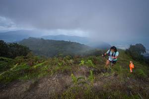 BIB: 3058
                            <button type="button" onclick="openModal(15915525)" class="btn btn-primary btn-sm float-right btn-popup" data-toggle="modal" data-target=".modal-high-quality">
                        <i class="fas fa-shopping-cart"></i> Add to Cart
                    </button>
                                            <button type="button" onclick="isThisMe(15915525, true)" class="btn btn-success btn-sm float-right btn-popup btn-isme hidden" data-toggle="tooltip" data-placement="bottom" title="นี่คือรูปของคุณใช่ไหม คลิกที่นี่เพื่อเอาเข้าอัลบั้ม">
                        <i class="fas fa-plus"></i> Add to album
                    </button>
                    <button type="button" onclick="isThisMe(15915525, false)" class="btn btn-warning btn-sm float-right btn-popup btn-isnotme hidden">
                        <i class="fas fa-ban"></i> Remove from album
                    </button>