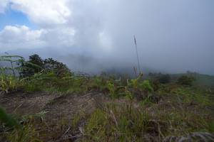 BIB: 
                            <button type="button" onclick="openModal(15915030)" class="btn btn-primary btn-sm float-right btn-popup" data-toggle="modal" data-target=".modal-high-quality">
                        <i class="fas fa-shopping-cart"></i> Add to Cart
                    </button>
                                            <button type="button" onclick="isThisMe(15915030, true)" class="btn btn-success btn-sm float-right btn-popup btn-isme hidden" data-toggle="tooltip" data-placement="bottom" title="นี่คือรูปของคุณใช่ไหม คลิกที่นี่เพื่อเอาเข้าอัลบั้ม">
                        <i class="fas fa-plus"></i> Add to album
                    </button>
                    <button type="button" onclick="isThisMe(15915030, false)" class="btn btn-warning btn-sm float-right btn-popup btn-isnotme hidden">
                        <i class="fas fa-ban"></i> Remove from album
                    </button>