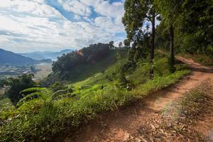 BIB: 
                            <button type="button" onclick="openModal(15943528)" class="btn btn-primary btn-sm float-right btn-popup" data-toggle="modal" data-target=".modal-high-quality">
                        <i class="fas fa-shopping-cart"></i> Add to Cart
                    </button>
                                            <button type="button" onclick="isThisMe(15943528, true)" class="btn btn-success btn-sm float-right btn-popup btn-isme hidden" data-toggle="tooltip" data-placement="bottom" title="นี่คือรูปของคุณใช่ไหม คลิกที่นี่เพื่อเอาเข้าอัลบั้ม">
                        <i class="fas fa-plus"></i> Add to album
                    </button>
                    <button type="button" onclick="isThisMe(15943528, false)" class="btn btn-warning btn-sm float-right btn-popup btn-isnotme hidden">
                        <i class="fas fa-ban"></i> Remove from album
                    </button>