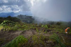 BIB: 
                            <button type="button" onclick="openModal(15915059)" class="btn btn-primary btn-sm float-right btn-popup" data-toggle="modal" data-target=".modal-high-quality">
                        <i class="fas fa-shopping-cart"></i> Add to Cart
                    </button>
                                            <button type="button" onclick="isThisMe(15915059, true)" class="btn btn-success btn-sm float-right btn-popup btn-isme hidden" data-toggle="tooltip" data-placement="bottom" title="นี่คือรูปของคุณใช่ไหม คลิกที่นี่เพื่อเอาเข้าอัลบั้ม">
                        <i class="fas fa-plus"></i> Add to album
                    </button>
                    <button type="button" onclick="isThisMe(15915059, false)" class="btn btn-warning btn-sm float-right btn-popup btn-isnotme hidden">
                        <i class="fas fa-ban"></i> Remove from album
                    </button>