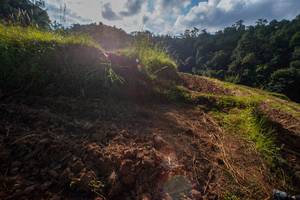 BIB: 
                            <button type="button" onclick="openModal(15943651)" class="btn btn-primary btn-sm float-right btn-popup" data-toggle="modal" data-target=".modal-high-quality">
                        <i class="fas fa-shopping-cart"></i> Add to Cart
                    </button>
                                            <button type="button" onclick="isThisMe(15943651, true)" class="btn btn-success btn-sm float-right btn-popup btn-isme hidden" data-toggle="tooltip" data-placement="bottom" title="นี่คือรูปของคุณใช่ไหม คลิกที่นี่เพื่อเอาเข้าอัลบั้ม">
                        <i class="fas fa-plus"></i> Add to album
                    </button>
                    <button type="button" onclick="isThisMe(15943651, false)" class="btn btn-warning btn-sm float-right btn-popup btn-isnotme hidden">
                        <i class="fas fa-ban"></i> Remove from album
                    </button>