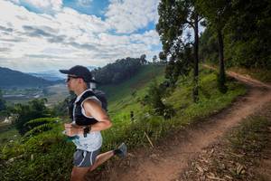 BIB: 
                            <button type="button" onclick="openModal(15941497)" class="btn btn-primary btn-sm float-right btn-popup" data-toggle="modal" data-target=".modal-high-quality">
                        <i class="fas fa-shopping-cart"></i> Add to Cart
                    </button>
                                            <button type="button" onclick="isThisMe(15941497, true)" class="btn btn-success btn-sm float-right btn-popup btn-isme hidden" data-toggle="tooltip" data-placement="bottom" title="นี่คือรูปของคุณใช่ไหม คลิกที่นี่เพื่อเอาเข้าอัลบั้ม">
                        <i class="fas fa-plus"></i> Add to album
                    </button>
                    <button type="button" onclick="isThisMe(15941497, false)" class="btn btn-warning btn-sm float-right btn-popup btn-isnotme hidden">
                        <i class="fas fa-ban"></i> Remove from album
                    </button>