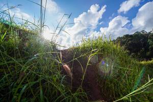 BIB: 
                            <button type="button" onclick="openModal(15943661)" class="btn btn-primary btn-sm float-right btn-popup" data-toggle="modal" data-target=".modal-high-quality">
                        <i class="fas fa-shopping-cart"></i> Add to Cart
                    </button>
                                            <button type="button" onclick="isThisMe(15943661, true)" class="btn btn-success btn-sm float-right btn-popup btn-isme hidden" data-toggle="tooltip" data-placement="bottom" title="นี่คือรูปของคุณใช่ไหม คลิกที่นี่เพื่อเอาเข้าอัลบั้ม">
                        <i class="fas fa-plus"></i> Add to album
                    </button>
                    <button type="button" onclick="isThisMe(15943661, false)" class="btn btn-warning btn-sm float-right btn-popup btn-isnotme hidden">
                        <i class="fas fa-ban"></i> Remove from album
                    </button>