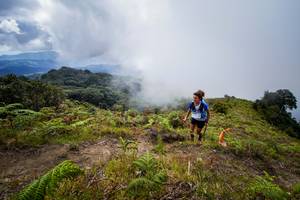 BIB: 3080
                            <button type="button" onclick="openModal(15914933)" class="btn btn-primary btn-sm float-right btn-popup" data-toggle="modal" data-target=".modal-high-quality">
                        <i class="fas fa-shopping-cart"></i> Add to Cart
                    </button>
                                            <button type="button" onclick="isThisMe(15914933, true)" class="btn btn-success btn-sm float-right btn-popup btn-isme hidden" data-toggle="tooltip" data-placement="bottom" title="นี่คือรูปของคุณใช่ไหม คลิกที่นี่เพื่อเอาเข้าอัลบั้ม">
                        <i class="fas fa-plus"></i> Add to album
                    </button>
                    <button type="button" onclick="isThisMe(15914933, false)" class="btn btn-warning btn-sm float-right btn-popup btn-isnotme hidden">
                        <i class="fas fa-ban"></i> Remove from album
                    </button>