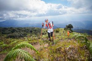 BIB: 3124
                            <button type="button" onclick="openModal(15916028)" class="btn btn-primary btn-sm float-right btn-popup" data-toggle="modal" data-target=".modal-high-quality">
                        <i class="fas fa-shopping-cart"></i> Add to Cart
                    </button>
                                            <button type="button" onclick="isThisMe(15916028, true)" class="btn btn-success btn-sm float-right btn-popup btn-isme hidden" data-toggle="tooltip" data-placement="bottom" title="นี่คือรูปของคุณใช่ไหม คลิกที่นี่เพื่อเอาเข้าอัลบั้ม">
                        <i class="fas fa-plus"></i> Add to album
                    </button>
                    <button type="button" onclick="isThisMe(15916028, false)" class="btn btn-warning btn-sm float-right btn-popup btn-isnotme hidden">
                        <i class="fas fa-ban"></i> Remove from album
                    </button>