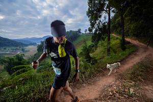 BIB: 
                            <button type="button" onclick="openModal(15929559)" class="btn btn-primary btn-sm float-right btn-popup" data-toggle="modal" data-target=".modal-high-quality">
                        <i class="fas fa-shopping-cart"></i> Add to Cart
                    </button>
                                            <button type="button" onclick="isThisMe(15929559, true)" class="btn btn-success btn-sm float-right btn-popup btn-isme hidden" data-toggle="tooltip" data-placement="bottom" title="นี่คือรูปของคุณใช่ไหม คลิกที่นี่เพื่อเอาเข้าอัลบั้ม">
                        <i class="fas fa-plus"></i> Add to album
                    </button>
                    <button type="button" onclick="isThisMe(15929559, false)" class="btn btn-warning btn-sm float-right btn-popup btn-isnotme hidden">
                        <i class="fas fa-ban"></i> Remove from album
                    </button>