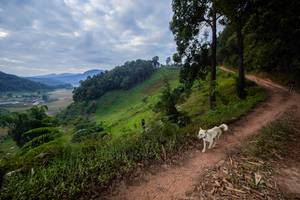 BIB: 
                            <button type="button" onclick="openModal(15929561)" class="btn btn-primary btn-sm float-right btn-popup" data-toggle="modal" data-target=".modal-high-quality">
                        <i class="fas fa-shopping-cart"></i> Add to Cart
                    </button>
                                            <button type="button" onclick="isThisMe(15929561, true)" class="btn btn-success btn-sm float-right btn-popup btn-isme hidden" data-toggle="tooltip" data-placement="bottom" title="นี่คือรูปของคุณใช่ไหม คลิกที่นี่เพื่อเอาเข้าอัลบั้ม">
                        <i class="fas fa-plus"></i> Add to album
                    </button>
                    <button type="button" onclick="isThisMe(15929561, false)" class="btn btn-warning btn-sm float-right btn-popup btn-isnotme hidden">
                        <i class="fas fa-ban"></i> Remove from album
                    </button>