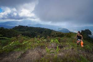 BIB: 3096
                            <button type="button" onclick="openModal(15915388)" class="btn btn-primary btn-sm float-right btn-popup" data-toggle="modal" data-target=".modal-high-quality">
                        <i class="fas fa-shopping-cart"></i> Add to Cart
                    </button>
                                            <button type="button" onclick="isThisMe(15915388, true)" class="btn btn-success btn-sm float-right btn-popup btn-isme hidden" data-toggle="tooltip" data-placement="bottom" title="นี่คือรูปของคุณใช่ไหม คลิกที่นี่เพื่อเอาเข้าอัลบั้ม">
                        <i class="fas fa-plus"></i> Add to album
                    </button>
                    <button type="button" onclick="isThisMe(15915388, false)" class="btn btn-warning btn-sm float-right btn-popup btn-isnotme hidden">
                        <i class="fas fa-ban"></i> Remove from album
                    </button>