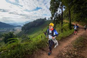 BIB: , 1266, 1465
                            <button type="button" onclick="openModal(15941183)" class="btn btn-primary btn-sm float-right btn-popup" data-toggle="modal" data-target=".modal-high-quality">
                        <i class="fas fa-shopping-cart"></i> Add to Cart
                    </button>
                                            <button type="button" onclick="isThisMe(15941183, true)" class="btn btn-success btn-sm float-right btn-popup btn-isme hidden" data-toggle="tooltip" data-placement="bottom" title="นี่คือรูปของคุณใช่ไหม คลิกที่นี่เพื่อเอาเข้าอัลบั้ม">
                        <i class="fas fa-plus"></i> Add to album
                    </button>
                    <button type="button" onclick="isThisMe(15941183, false)" class="btn btn-warning btn-sm float-right btn-popup btn-isnotme hidden">
                        <i class="fas fa-ban"></i> Remove from album
                    </button>