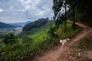 BIB: 
                            <button type="button" onclick="openModal(15929562)" class="btn btn-primary btn-sm float-right btn-popup" data-toggle="modal" data-target=".modal-high-quality">
                        <i class="fas fa-shopping-cart"></i> Add to Cart
                    </button>
                                            <button type="button" onclick="isThisMe(15929562, true)" class="btn btn-success btn-sm float-right btn-popup btn-isme hidden" data-toggle="tooltip" data-placement="bottom" title="นี่คือรูปของคุณใช่ไหม คลิกที่นี่เพื่อเอาเข้าอัลบั้ม">
                        <i class="fas fa-plus"></i> Add to album
                    </button>
                    <button type="button" onclick="isThisMe(15929562, false)" class="btn btn-warning btn-sm float-right btn-popup btn-isnotme hidden">
                        <i class="fas fa-ban"></i> Remove from album
                    </button>