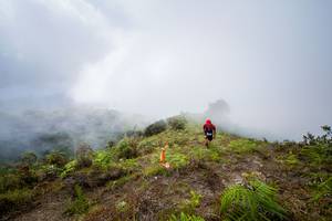 BIB: 308
                            <button type="button" onclick="openModal(15914897)" class="btn btn-primary btn-sm float-right btn-popup" data-toggle="modal" data-target=".modal-high-quality">
                        <i class="fas fa-shopping-cart"></i> Add to Cart
                    </button>
                                            <button type="button" onclick="isThisMe(15914897, true)" class="btn btn-success btn-sm float-right btn-popup btn-isme hidden" data-toggle="tooltip" data-placement="bottom" title="นี่คือรูปของคุณใช่ไหม คลิกที่นี่เพื่อเอาเข้าอัลบั้ม">
                        <i class="fas fa-plus"></i> Add to album
                    </button>
                    <button type="button" onclick="isThisMe(15914897, false)" class="btn btn-warning btn-sm float-right btn-popup btn-isnotme hidden">
                        <i class="fas fa-ban"></i> Remove from album
                    </button>