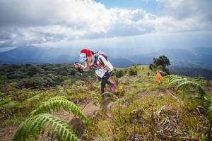 BIB: 3124
                            <button type="button" onclick="openModal(15916033)" class="btn btn-primary btn-sm float-right btn-popup" data-toggle="modal" data-target=".modal-high-quality">
                        <i class="fas fa-shopping-cart"></i> Add to Cart
                    </button>
                                            <button type="button" onclick="isThisMe(15916033, true)" class="btn btn-success btn-sm float-right btn-popup btn-isme hidden" data-toggle="tooltip" data-placement="bottom" title="นี่คือรูปของคุณใช่ไหม คลิกที่นี่เพื่อเอาเข้าอัลบั้ม">
                        <i class="fas fa-plus"></i> Add to album
                    </button>
                    <button type="button" onclick="isThisMe(15916033, false)" class="btn btn-warning btn-sm float-right btn-popup btn-isnotme hidden">
                        <i class="fas fa-ban"></i> Remove from album
                    </button>