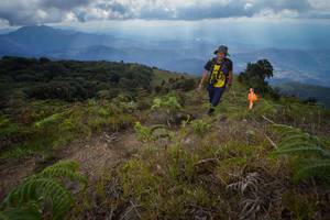 BIB: 
                            <button type="button" onclick="openModal(15916089)" class="btn btn-primary btn-sm float-right btn-popup" data-toggle="modal" data-target=".modal-high-quality">
                        <i class="fas fa-shopping-cart"></i> Add to Cart
                    </button>
                                            <button type="button" onclick="isThisMe(15916089, true)" class="btn btn-success btn-sm float-right btn-popup btn-isme hidden" data-toggle="tooltip" data-placement="bottom" title="นี่คือรูปของคุณใช่ไหม คลิกที่นี่เพื่อเอาเข้าอัลบั้ม">
                        <i class="fas fa-plus"></i> Add to album
                    </button>
                    <button type="button" onclick="isThisMe(15916089, false)" class="btn btn-warning btn-sm float-right btn-popup btn-isnotme hidden">
                        <i class="fas fa-ban"></i> Remove from album
                    </button>