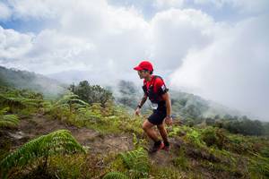 BIB: 
                            <button type="button" onclick="openModal(15914904)" class="btn btn-primary btn-sm float-right btn-popup" data-toggle="modal" data-target=".modal-high-quality">
                        <i class="fas fa-shopping-cart"></i> Add to Cart
                    </button>
                                            <button type="button" onclick="isThisMe(15914904, true)" class="btn btn-success btn-sm float-right btn-popup btn-isme hidden" data-toggle="tooltip" data-placement="bottom" title="นี่คือรูปของคุณใช่ไหม คลิกที่นี่เพื่อเอาเข้าอัลบั้ม">
                        <i class="fas fa-plus"></i> Add to album
                    </button>
                    <button type="button" onclick="isThisMe(15914904, false)" class="btn btn-warning btn-sm float-right btn-popup btn-isnotme hidden">
                        <i class="fas fa-ban"></i> Remove from album
                    </button>