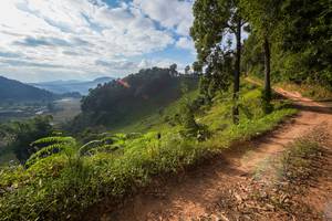 BIB: 
                            <button type="button" onclick="openModal(15943446)" class="btn btn-primary btn-sm float-right btn-popup" data-toggle="modal" data-target=".modal-high-quality">
                        <i class="fas fa-shopping-cart"></i> Add to Cart
                    </button>
                                            <button type="button" onclick="isThisMe(15943446, true)" class="btn btn-success btn-sm float-right btn-popup btn-isme hidden" data-toggle="tooltip" data-placement="bottom" title="นี่คือรูปของคุณใช่ไหม คลิกที่นี่เพื่อเอาเข้าอัลบั้ม">
                        <i class="fas fa-plus"></i> Add to album
                    </button>
                    <button type="button" onclick="isThisMe(15943446, false)" class="btn btn-warning btn-sm float-right btn-popup btn-isnotme hidden">
                        <i class="fas fa-ban"></i> Remove from album
                    </button>