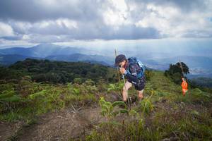 BIB: 
                            <button type="button" onclick="openModal(15915953)" class="btn btn-primary btn-sm float-right btn-popup" data-toggle="modal" data-target=".modal-high-quality">
                        <i class="fas fa-shopping-cart"></i> Add to Cart
                    </button>
                                            <button type="button" onclick="isThisMe(15915953, true)" class="btn btn-success btn-sm float-right btn-popup btn-isme hidden" data-toggle="tooltip" data-placement="bottom" title="นี่คือรูปของคุณใช่ไหม คลิกที่นี่เพื่อเอาเข้าอัลบั้ม">
                        <i class="fas fa-plus"></i> Add to album
                    </button>
                    <button type="button" onclick="isThisMe(15915953, false)" class="btn btn-warning btn-sm float-right btn-popup btn-isnotme hidden">
                        <i class="fas fa-ban"></i> Remove from album
                    </button>