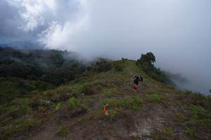 BIB: 
                            <button type="button" onclick="openModal(15914880)" class="btn btn-primary btn-sm float-right btn-popup" data-toggle="modal" data-target=".modal-high-quality">
                        <i class="fas fa-shopping-cart"></i> Add to Cart
                    </button>
                                            <button type="button" onclick="isThisMe(15914880, true)" class="btn btn-success btn-sm float-right btn-popup btn-isme hidden" data-toggle="tooltip" data-placement="bottom" title="นี่คือรูปของคุณใช่ไหม คลิกที่นี่เพื่อเอาเข้าอัลบั้ม">
                        <i class="fas fa-plus"></i> Add to album
                    </button>
                    <button type="button" onclick="isThisMe(15914880, false)" class="btn btn-warning btn-sm float-right btn-popup btn-isnotme hidden">
                        <i class="fas fa-ban"></i> Remove from album
                    </button>