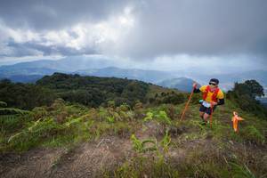 BIB: 3033
                            <button type="button" onclick="openModal(15915341)" class="btn btn-primary btn-sm float-right btn-popup" data-toggle="modal" data-target=".modal-high-quality">
                        <i class="fas fa-shopping-cart"></i> Add to Cart
                    </button>
                                            <button type="button" onclick="isThisMe(15915341, true)" class="btn btn-success btn-sm float-right btn-popup btn-isme hidden" data-toggle="tooltip" data-placement="bottom" title="นี่คือรูปของคุณใช่ไหม คลิกที่นี่เพื่อเอาเข้าอัลบั้ม">
                        <i class="fas fa-plus"></i> Add to album
                    </button>
                    <button type="button" onclick="isThisMe(15915341, false)" class="btn btn-warning btn-sm float-right btn-popup btn-isnotme hidden">
                        <i class="fas fa-ban"></i> Remove from album
                    </button>