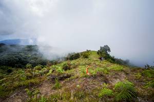 BIB: 
                            <button type="button" onclick="openModal(15914918)" class="btn btn-primary btn-sm float-right btn-popup" data-toggle="modal" data-target=".modal-high-quality">
                        <i class="fas fa-shopping-cart"></i> Add to Cart
                    </button>
                                            <button type="button" onclick="isThisMe(15914918, true)" class="btn btn-success btn-sm float-right btn-popup btn-isme hidden" data-toggle="tooltip" data-placement="bottom" title="นี่คือรูปของคุณใช่ไหม คลิกที่นี่เพื่อเอาเข้าอัลบั้ม">
                        <i class="fas fa-plus"></i> Add to album
                    </button>
                    <button type="button" onclick="isThisMe(15914918, false)" class="btn btn-warning btn-sm float-right btn-popup btn-isnotme hidden">
                        <i class="fas fa-ban"></i> Remove from album
                    </button>