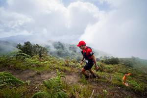 BIB: 
                            <button type="button" onclick="openModal(15914901)" class="btn btn-primary btn-sm float-right btn-popup" data-toggle="modal" data-target=".modal-high-quality">
                        <i class="fas fa-shopping-cart"></i> Add to Cart
                    </button>
                                            <button type="button" onclick="isThisMe(15914901, true)" class="btn btn-success btn-sm float-right btn-popup btn-isme hidden" data-toggle="tooltip" data-placement="bottom" title="นี่คือรูปของคุณใช่ไหม คลิกที่นี่เพื่อเอาเข้าอัลบั้ม">
                        <i class="fas fa-plus"></i> Add to album
                    </button>
                    <button type="button" onclick="isThisMe(15914901, false)" class="btn btn-warning btn-sm float-right btn-popup btn-isnotme hidden">
                        <i class="fas fa-ban"></i> Remove from album
                    </button>