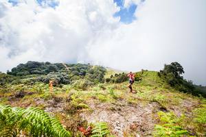 BIB: 
                            <button type="button" onclick="openModal(15914862)" class="btn btn-primary btn-sm float-right btn-popup" data-toggle="modal" data-target=".modal-high-quality">
                        <i class="fas fa-shopping-cart"></i> Add to Cart
                    </button>
                                            <button type="button" onclick="isThisMe(15914862, true)" class="btn btn-success btn-sm float-right btn-popup btn-isme hidden" data-toggle="tooltip" data-placement="bottom" title="นี่คือรูปของคุณใช่ไหม คลิกที่นี่เพื่อเอาเข้าอัลบั้ม">
                        <i class="fas fa-plus"></i> Add to album
                    </button>
                    <button type="button" onclick="isThisMe(15914862, false)" class="btn btn-warning btn-sm float-right btn-popup btn-isnotme hidden">
                        <i class="fas fa-ban"></i> Remove from album
                    </button>