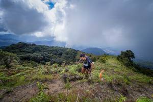 BIB: 003
                            <button type="button" onclick="openModal(15914983)" class="btn btn-primary btn-sm float-right btn-popup" data-toggle="modal" data-target=".modal-high-quality">
                        <i class="fas fa-shopping-cart"></i> Add to Cart
                    </button>
                                            <button type="button" onclick="isThisMe(15914983, true)" class="btn btn-success btn-sm float-right btn-popup btn-isme hidden" data-toggle="tooltip" data-placement="bottom" title="นี่คือรูปของคุณใช่ไหม คลิกที่นี่เพื่อเอาเข้าอัลบั้ม">
                        <i class="fas fa-plus"></i> Add to album
                    </button>
                    <button type="button" onclick="isThisMe(15914983, false)" class="btn btn-warning btn-sm float-right btn-popup btn-isnotme hidden">
                        <i class="fas fa-ban"></i> Remove from album
                    </button>