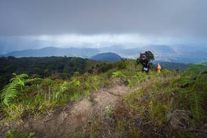 BIB: 3017
                            <button type="button" onclick="openModal(15915608)" class="btn btn-primary btn-sm float-right btn-popup" data-toggle="modal" data-target=".modal-high-quality">
                        <i class="fas fa-shopping-cart"></i> Add to Cart
                    </button>
                                            <button type="button" onclick="isThisMe(15915608, true)" class="btn btn-success btn-sm float-right btn-popup btn-isme hidden" data-toggle="tooltip" data-placement="bottom" title="นี่คือรูปของคุณใช่ไหม คลิกที่นี่เพื่อเอาเข้าอัลบั้ม">
                        <i class="fas fa-plus"></i> Add to album
                    </button>
                    <button type="button" onclick="isThisMe(15915608, false)" class="btn btn-warning btn-sm float-right btn-popup btn-isnotme hidden">
                        <i class="fas fa-ban"></i> Remove from album
                    </button>