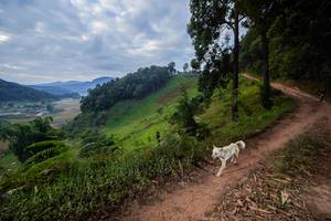 BIB: 
                            <button type="button" onclick="openModal(15929564)" class="btn btn-primary btn-sm float-right btn-popup" data-toggle="modal" data-target=".modal-high-quality">
                        <i class="fas fa-shopping-cart"></i> Add to Cart
                    </button>
                                            <button type="button" onclick="isThisMe(15929564, true)" class="btn btn-success btn-sm float-right btn-popup btn-isme hidden" data-toggle="tooltip" data-placement="bottom" title="นี่คือรูปของคุณใช่ไหม คลิกที่นี่เพื่อเอาเข้าอัลบั้ม">
                        <i class="fas fa-plus"></i> Add to album
                    </button>
                    <button type="button" onclick="isThisMe(15929564, false)" class="btn btn-warning btn-sm float-right btn-popup btn-isnotme hidden">
                        <i class="fas fa-ban"></i> Remove from album
                    </button>