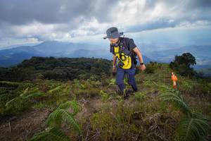 BIB: 500
                            <button type="button" onclick="openModal(15916096)" class="btn btn-primary btn-sm float-right btn-popup" data-toggle="modal" data-target=".modal-high-quality">
                        <i class="fas fa-shopping-cart"></i> Add to Cart
                    </button>
                                            <button type="button" onclick="isThisMe(15916096, true)" class="btn btn-success btn-sm float-right btn-popup btn-isme hidden" data-toggle="tooltip" data-placement="bottom" title="นี่คือรูปของคุณใช่ไหม คลิกที่นี่เพื่อเอาเข้าอัลบั้ม">
                        <i class="fas fa-plus"></i> Add to album
                    </button>
                    <button type="button" onclick="isThisMe(15916096, false)" class="btn btn-warning btn-sm float-right btn-popup btn-isnotme hidden">
                        <i class="fas fa-ban"></i> Remove from album
                    </button>