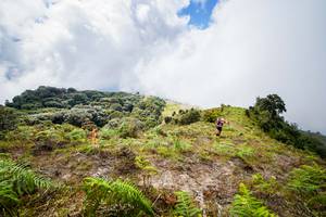 BIB: 
                            <button type="button" onclick="openModal(15914860)" class="btn btn-primary btn-sm float-right btn-popup" data-toggle="modal" data-target=".modal-high-quality">
                        <i class="fas fa-shopping-cart"></i> Add to Cart
                    </button>
                                            <button type="button" onclick="isThisMe(15914860, true)" class="btn btn-success btn-sm float-right btn-popup btn-isme hidden" data-toggle="tooltip" data-placement="bottom" title="นี่คือรูปของคุณใช่ไหม คลิกที่นี่เพื่อเอาเข้าอัลบั้ม">
                        <i class="fas fa-plus"></i> Add to album
                    </button>
                    <button type="button" onclick="isThisMe(15914860, false)" class="btn btn-warning btn-sm float-right btn-popup btn-isnotme hidden">
                        <i class="fas fa-ban"></i> Remove from album
                    </button>