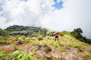 BIB: 
                            <button type="button" onclick="openModal(15914865)" class="btn btn-primary btn-sm float-right btn-popup" data-toggle="modal" data-target=".modal-high-quality">
                        <i class="fas fa-shopping-cart"></i> Add to Cart
                    </button>
                                            <button type="button" onclick="isThisMe(15914865, true)" class="btn btn-success btn-sm float-right btn-popup btn-isme hidden" data-toggle="tooltip" data-placement="bottom" title="นี่คือรูปของคุณใช่ไหม คลิกที่นี่เพื่อเอาเข้าอัลบั้ม">
                        <i class="fas fa-plus"></i> Add to album
                    </button>
                    <button type="button" onclick="isThisMe(15914865, false)" class="btn btn-warning btn-sm float-right btn-popup btn-isnotme hidden">
                        <i class="fas fa-ban"></i> Remove from album
                    </button>