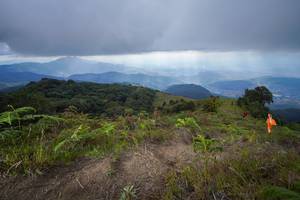 BIB: 
                            <button type="button" onclick="openModal(15915748)" class="btn btn-primary btn-sm float-right btn-popup" data-toggle="modal" data-target=".modal-high-quality">
                        <i class="fas fa-shopping-cart"></i> Add to Cart
                    </button>
                                            <button type="button" onclick="isThisMe(15915748, true)" class="btn btn-success btn-sm float-right btn-popup btn-isme hidden" data-toggle="tooltip" data-placement="bottom" title="นี่คือรูปของคุณใช่ไหม คลิกที่นี่เพื่อเอาเข้าอัลบั้ม">
                        <i class="fas fa-plus"></i> Add to album
                    </button>
                    <button type="button" onclick="isThisMe(15915748, false)" class="btn btn-warning btn-sm float-right btn-popup btn-isnotme hidden">
                        <i class="fas fa-ban"></i> Remove from album
                    </button>