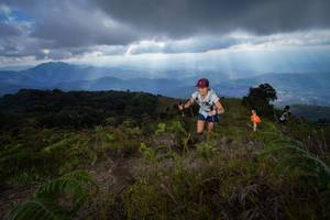 BIB: 
                            <button type="button" onclick="openModal(15916174)" class="btn btn-primary btn-sm float-right btn-popup" data-toggle="modal" data-target=".modal-high-quality">
                        <i class="fas fa-shopping-cart"></i> Add to Cart
                    </button>
                                            <button type="button" onclick="isThisMe(15916174, true)" class="btn btn-success btn-sm float-right btn-popup btn-isme hidden" data-toggle="tooltip" data-placement="bottom" title="นี่คือรูปของคุณใช่ไหม คลิกที่นี่เพื่อเอาเข้าอัลบั้ม">
                        <i class="fas fa-plus"></i> Add to album
                    </button>
                    <button type="button" onclick="isThisMe(15916174, false)" class="btn btn-warning btn-sm float-right btn-popup btn-isnotme hidden">
                        <i class="fas fa-ban"></i> Remove from album
                    </button>