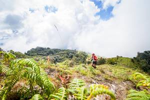 BIB: 
                            <button type="button" onclick="openModal(15914864)" class="btn btn-primary btn-sm float-right btn-popup" data-toggle="modal" data-target=".modal-high-quality">
                        <i class="fas fa-shopping-cart"></i> Add to Cart
                    </button>
                                            <button type="button" onclick="isThisMe(15914864, true)" class="btn btn-success btn-sm float-right btn-popup btn-isme hidden" data-toggle="tooltip" data-placement="bottom" title="นี่คือรูปของคุณใช่ไหม คลิกที่นี่เพื่อเอาเข้าอัลบั้ม">
                        <i class="fas fa-plus"></i> Add to album
                    </button>
                    <button type="button" onclick="isThisMe(15914864, false)" class="btn btn-warning btn-sm float-right btn-popup btn-isnotme hidden">
                        <i class="fas fa-ban"></i> Remove from album
                    </button>