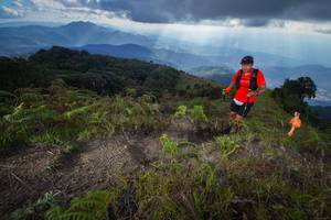 BIB: 
                            <button type="button" onclick="openModal(15916343)" class="btn btn-primary btn-sm float-right btn-popup" data-toggle="modal" data-target=".modal-high-quality">
                        <i class="fas fa-shopping-cart"></i> Add to Cart
                    </button>
                                            <button type="button" onclick="isThisMe(15916343, true)" class="btn btn-success btn-sm float-right btn-popup btn-isme hidden" data-toggle="tooltip" data-placement="bottom" title="นี่คือรูปของคุณใช่ไหม คลิกที่นี่เพื่อเอาเข้าอัลบั้ม">
                        <i class="fas fa-plus"></i> Add to album
                    </button>
                    <button type="button" onclick="isThisMe(15916343, false)" class="btn btn-warning btn-sm float-right btn-popup btn-isnotme hidden">
                        <i class="fas fa-ban"></i> Remove from album
                    </button>