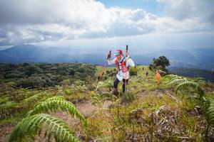 BIB: 3124
                            <button type="button" onclick="openModal(15916026)" class="btn btn-primary btn-sm float-right btn-popup" data-toggle="modal" data-target=".modal-high-quality">
                        <i class="fas fa-shopping-cart"></i> Add to Cart
                    </button>
                                            <button type="button" onclick="isThisMe(15916026, true)" class="btn btn-success btn-sm float-right btn-popup btn-isme hidden" data-toggle="tooltip" data-placement="bottom" title="นี่คือรูปของคุณใช่ไหม คลิกที่นี่เพื่อเอาเข้าอัลบั้ม">
                        <i class="fas fa-plus"></i> Add to album
                    </button>
                    <button type="button" onclick="isThisMe(15916026, false)" class="btn btn-warning btn-sm float-right btn-popup btn-isnotme hidden">
                        <i class="fas fa-ban"></i> Remove from album
                    </button>