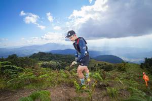 BIB: 
                            <button type="button" onclick="openModal(15916431)" class="btn btn-primary btn-sm float-right btn-popup" data-toggle="modal" data-target=".modal-high-quality">
                        <i class="fas fa-shopping-cart"></i> Add to Cart
                    </button>
                                            <button type="button" onclick="isThisMe(15916431, true)" class="btn btn-success btn-sm float-right btn-popup btn-isme hidden" data-toggle="tooltip" data-placement="bottom" title="นี่คือรูปของคุณใช่ไหม คลิกที่นี่เพื่อเอาเข้าอัลบั้ม">
                        <i class="fas fa-plus"></i> Add to album
                    </button>
                    <button type="button" onclick="isThisMe(15916431, false)" class="btn btn-warning btn-sm float-right btn-popup btn-isnotme hidden">
                        <i class="fas fa-ban"></i> Remove from album
                    </button>