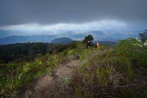 BIB: 3525
                            <button type="button" onclick="openModal(15915629)" class="btn btn-primary btn-sm float-right btn-popup" data-toggle="modal" data-target=".modal-high-quality">
                        <i class="fas fa-shopping-cart"></i> Add to Cart
                    </button>
                                            <button type="button" onclick="isThisMe(15915629, true)" class="btn btn-success btn-sm float-right btn-popup btn-isme hidden" data-toggle="tooltip" data-placement="bottom" title="นี่คือรูปของคุณใช่ไหม คลิกที่นี่เพื่อเอาเข้าอัลบั้ม">
                        <i class="fas fa-plus"></i> Add to album
                    </button>
                    <button type="button" onclick="isThisMe(15915629, false)" class="btn btn-warning btn-sm float-right btn-popup btn-isnotme hidden">
                        <i class="fas fa-ban"></i> Remove from album
                    </button>