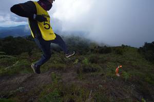 BIB: 
                            <button type="button" onclick="openModal(15915000)" class="btn btn-primary btn-sm float-right btn-popup" data-toggle="modal" data-target=".modal-high-quality">
                        <i class="fas fa-shopping-cart"></i> Add to Cart
                    </button>
                                            <button type="button" onclick="isThisMe(15915000, true)" class="btn btn-success btn-sm float-right btn-popup btn-isme hidden" data-toggle="tooltip" data-placement="bottom" title="นี่คือรูปของคุณใช่ไหม คลิกที่นี่เพื่อเอาเข้าอัลบั้ม">
                        <i class="fas fa-plus"></i> Add to album
                    </button>
                    <button type="button" onclick="isThisMe(15915000, false)" class="btn btn-warning btn-sm float-right btn-popup btn-isnotme hidden">
                        <i class="fas fa-ban"></i> Remove from album
                    </button>