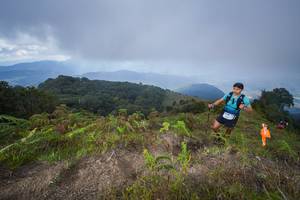 BIB: 3108
                            <button type="button" onclick="openModal(15915506)" class="btn btn-primary btn-sm float-right btn-popup" data-toggle="modal" data-target=".modal-high-quality">
                        <i class="fas fa-shopping-cart"></i> Add to Cart
                    </button>
                                            <button type="button" onclick="isThisMe(15915506, true)" class="btn btn-success btn-sm float-right btn-popup btn-isme hidden" data-toggle="tooltip" data-placement="bottom" title="นี่คือรูปของคุณใช่ไหม คลิกที่นี่เพื่อเอาเข้าอัลบั้ม">
                        <i class="fas fa-plus"></i> Add to album
                    </button>
                    <button type="button" onclick="isThisMe(15915506, false)" class="btn btn-warning btn-sm float-right btn-popup btn-isnotme hidden">
                        <i class="fas fa-ban"></i> Remove from album
                    </button>