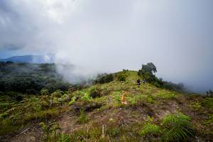 BIB: 
                            <button type="button" onclick="openModal(15914919)" class="btn btn-primary btn-sm float-right btn-popup" data-toggle="modal" data-target=".modal-high-quality">
                        <i class="fas fa-shopping-cart"></i> Add to Cart
                    </button>
                                            <button type="button" onclick="isThisMe(15914919, true)" class="btn btn-success btn-sm float-right btn-popup btn-isme hidden" data-toggle="tooltip" data-placement="bottom" title="นี่คือรูปของคุณใช่ไหม คลิกที่นี่เพื่อเอาเข้าอัลบั้ม">
                        <i class="fas fa-plus"></i> Add to album
                    </button>
                    <button type="button" onclick="isThisMe(15914919, false)" class="btn btn-warning btn-sm float-right btn-popup btn-isnotme hidden">
                        <i class="fas fa-ban"></i> Remove from album
                    </button>