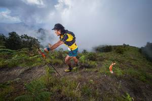 BIB: 
                            <button type="button" onclick="openModal(15915027)" class="btn btn-primary btn-sm float-right btn-popup" data-toggle="modal" data-target=".modal-high-quality">
                        <i class="fas fa-shopping-cart"></i> Add to Cart
                    </button>
                                            <button type="button" onclick="isThisMe(15915027, true)" class="btn btn-success btn-sm float-right btn-popup btn-isme hidden" data-toggle="tooltip" data-placement="bottom" title="นี่คือรูปของคุณใช่ไหม คลิกที่นี่เพื่อเอาเข้าอัลบั้ม">
                        <i class="fas fa-plus"></i> Add to album
                    </button>
                    <button type="button" onclick="isThisMe(15915027, false)" class="btn btn-warning btn-sm float-right btn-popup btn-isnotme hidden">
                        <i class="fas fa-ban"></i> Remove from album
                    </button>