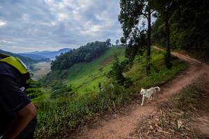 BIB: 
                            <button type="button" onclick="openModal(15929560)" class="btn btn-primary btn-sm float-right btn-popup" data-toggle="modal" data-target=".modal-high-quality">
                        <i class="fas fa-shopping-cart"></i> Add to Cart
                    </button>
                                            <button type="button" onclick="isThisMe(15929560, true)" class="btn btn-success btn-sm float-right btn-popup btn-isme hidden" data-toggle="tooltip" data-placement="bottom" title="นี่คือรูปของคุณใช่ไหม คลิกที่นี่เพื่อเอาเข้าอัลบั้ม">
                        <i class="fas fa-plus"></i> Add to album
                    </button>
                    <button type="button" onclick="isThisMe(15929560, false)" class="btn btn-warning btn-sm float-right btn-popup btn-isnotme hidden">
                        <i class="fas fa-ban"></i> Remove from album
                    </button>