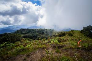 BIB: 
                            <button type="button" onclick="openModal(15914952)" class="btn btn-primary btn-sm float-right btn-popup" data-toggle="modal" data-target=".modal-high-quality">
                        <i class="fas fa-shopping-cart"></i> Add to Cart
                    </button>
                                            <button type="button" onclick="isThisMe(15914952, true)" class="btn btn-success btn-sm float-right btn-popup btn-isme hidden" data-toggle="tooltip" data-placement="bottom" title="นี่คือรูปของคุณใช่ไหม คลิกที่นี่เพื่อเอาเข้าอัลบั้ม">
                        <i class="fas fa-plus"></i> Add to album
                    </button>
                    <button type="button" onclick="isThisMe(15914952, false)" class="btn btn-warning btn-sm float-right btn-popup btn-isnotme hidden">
                        <i class="fas fa-ban"></i> Remove from album
                    </button>